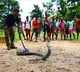 Karnataka govt to form special team for King Cobra rescues