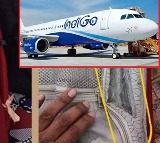 Indigo Airlines Passenger Alleges Luggage Theft Negligence