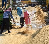Labour reforms to create 77 lakh jobs, boost consumption by Rs 75,000 crore: SBI report