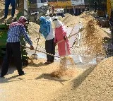 Labour reforms to create 77 lakh jobs, boost consumption by Rs 75,000 crore: SBI report