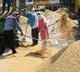 Labour reforms to create 77 lakh jobs, boost consumption by Rs 75,000 crore: SBI report