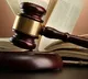 Chennai corpn in Madras HC: Muzzles not mandatory for pet dogs, only leashing required
