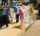 Labour reforms to create 77 lakh jobs boost consumption by Rs 75000 crore Says SBI report