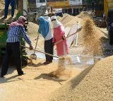 Labour reforms to create 77 lakh jobs boost consumption by Rs 75000 crore Says SBI report