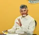 Chandrababu Naidu Focuses on Horticulture Development in Rayalaseema