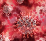 Coronavirus Mutation Bypassed Vaccines Andhra University Research