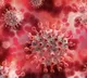 Coronavirus Mutation Bypassed Vaccines Andhra University Research