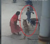 Pitbull attack Boy severely injured in Delhi