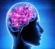 Researchers in Australia reveal progressive regional brain changes in Parkinsons disease