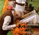 PM Modi calls for duty-driven vision of Viksit Bharat in heartfelt letter to citizens on Constitution Day