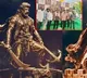 Balakrishna NBK 111 Movie Begins with Pooja Ceremony