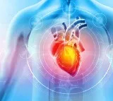 Phthalates Chemicals Silently Damage Heart Health Study Reveals