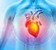 Phthalates Chemicals Silently Damage Heart Health Study Reveals