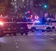 White House Shooting Afghan Citizen Visa Applications Suspended