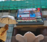 Sensex, Nifty turn positive after early losses ahead of key Q2 GDP data release