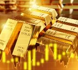 Gold Price May Reach 5000 Dollars in 2025 WGC CEO Predicts