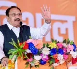 Article 370 abrogation completed Patel’s unifying vision: JP Nadda