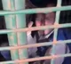 Drunk Man Trapped in Cheetah Cage in Uttar Pradesh