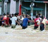 Cyclone Ditwah: CM Vijayan seeks Centre's intervention to rescue stranded Keralites in Sri Lanka