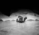 Sambasivarao Murdered in Palnadu District Mother Critical