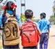 Ditha Cyclone Effect School Holiday Declared in 4 AP Districts