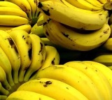 YS Jagans Banana Price Claim Fact Checked by AP Government
