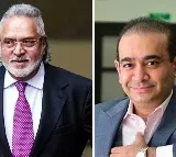 15 Fugitive Economic Offenders Including Vijay Mallya And Nirav Modi Owe Over Rs 58000 Crore Says Government