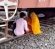 Lovers escape death under goods train while romancing