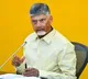 Chandrababu Naidu Reviews Scrub Typhus Cases in Andhra Pradesh