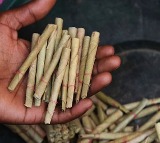 New Labour Codes ensure security and protection for Bidi and Cigar workers