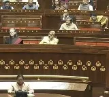 Centre confirms mistreatment of Indian deportee from US, rejects handcuff claim in Rajya Sabha