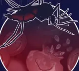 Over 6 lakh lives lost due to malaria in 2024, drug resistance a major threat: WHO