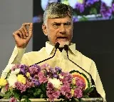 Chandrababu Naidu Orders Implementation of Agreements in 45 Days