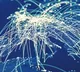 India targets global leadership in quantum tech with new NITI Aayog roadmap