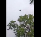 Tirumala Drone Scare NRI Devotees in Police Custody