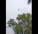 Tirumala Drone Scare NRI Devotees in Police Custody