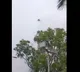 Tirumala Drone Scare NRI Devotees in Police Custody