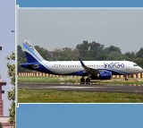 Indigo Airlines Crisis Reaches Supreme Court Petition Filed Over Flight Cancellations