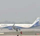 IndiGo forms high-level crisis group to tackle widespread flight delays