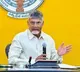 IndiGo’s failure to comply with FDTL norms led to crisis: Chandrababu Naidu