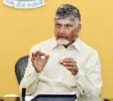 Chandrababu Naidu says Indigo is responsible for flight crisis
