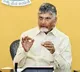 Chandrababu Naidu says Indigo is responsible for flight crisis