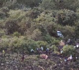 Car Accident Near Nashik Six Dead in Saptashrungi Mata Temple Accident