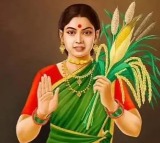 Telangana Thalli Statues Unveiled by Revanth Reddy Across 33 Districts