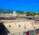 TTD Cancels VIP Break Darshan at Tirumala During Festivals