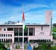Suresh Babu Petition Dismissed High Court Clears Way for Kadapa Mayor Election