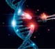 Indian Scientists Create GlowCas9 Protein for Gene Therapy