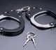 Indian national gets 90-month US sentence for $2.2 million elder fraud