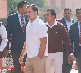 'He was very nervous, his hands were trembling': Rahul Gandhi on Amit Shah's LS speech