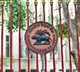RBI Buys Bonds Worth Rs 50000 Crore
